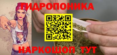 прущие грибы Кунгур