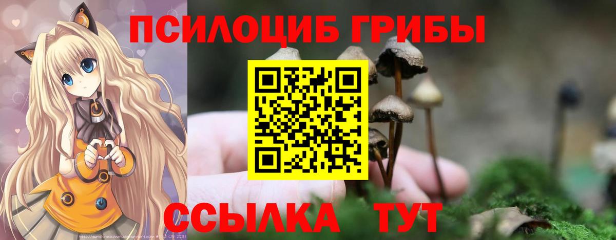 Псилоцибиновые грибы мухоморы  Вход с VPN  Ирбит 